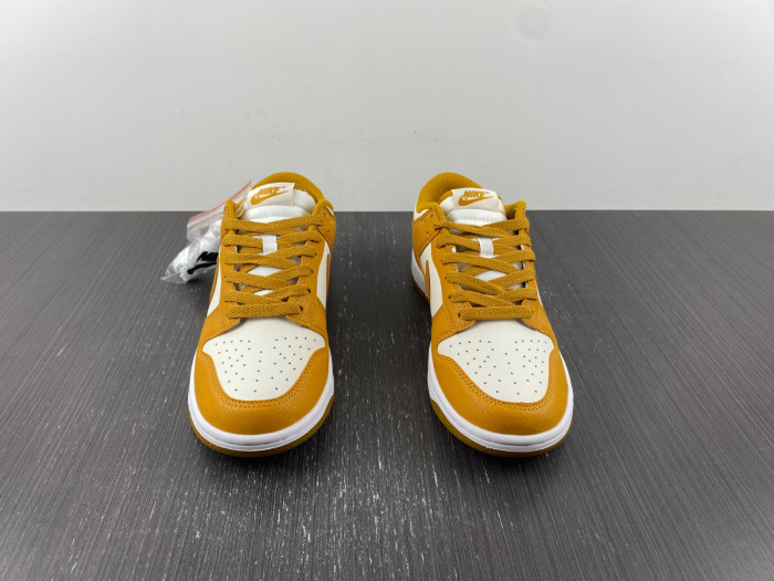 Nike Dunk Low Next Nature DN1431-001