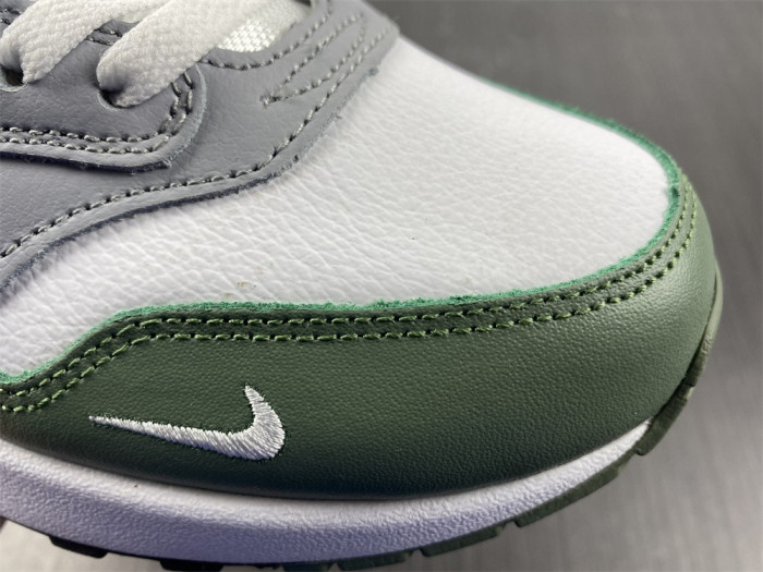 Nike Air Max 1 Spiral Sage - DB5074-100