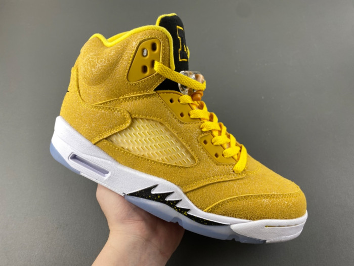 Air Jordan Air Jordan 5 Retro