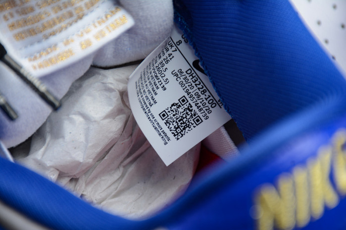 NIKE SB DUNK LOW "BLUE STARS" DH3228-100