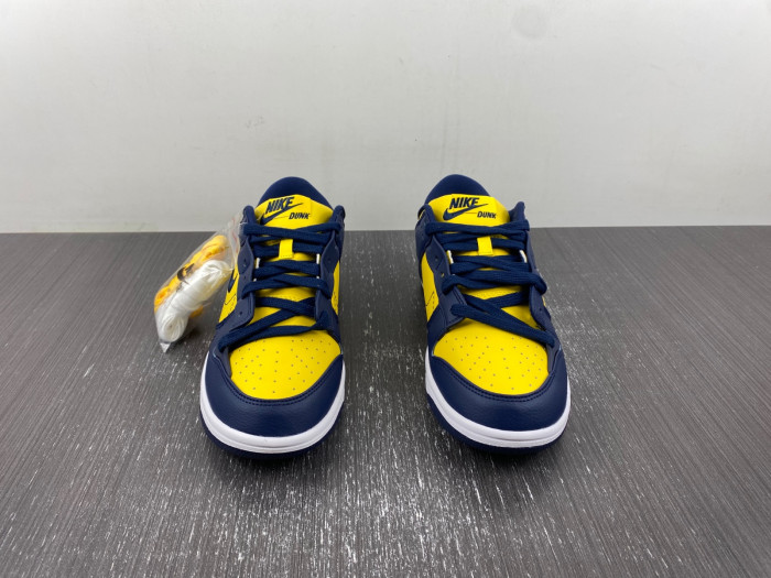 Nike Dunk Low Disrupt 2 "Michigan" DV4024-400