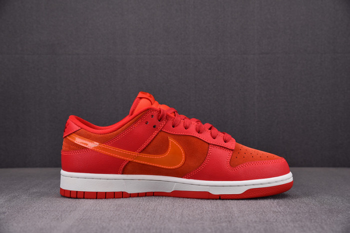 Nike Dunk Low ATL FD0724-657